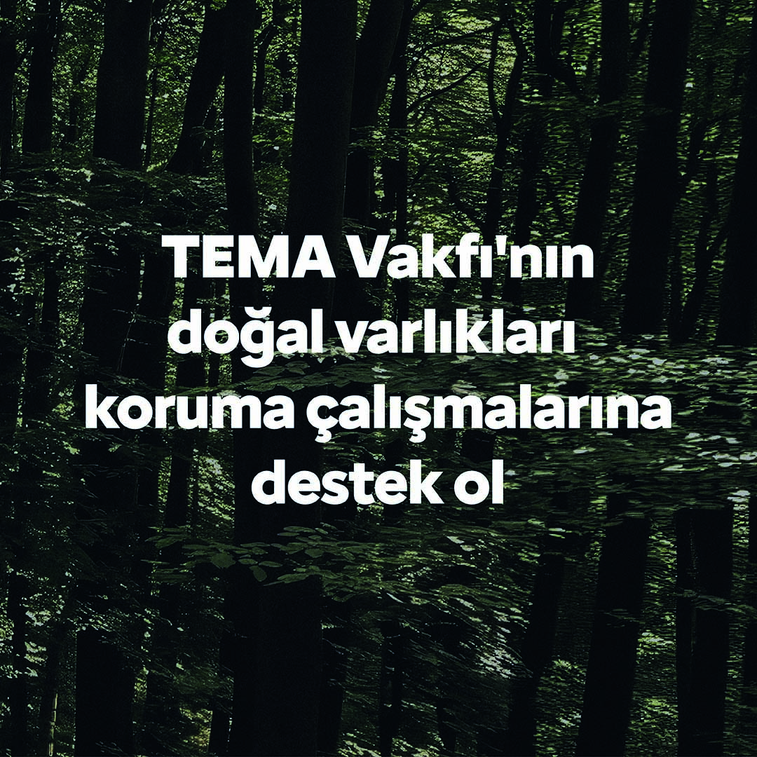 Citroën Ami TEMA Vakfı